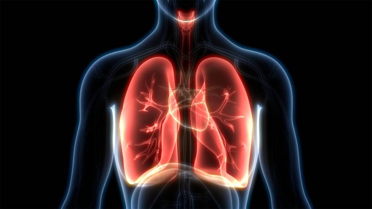 Respiratory Support System – Yoga, Ayurveda & Food