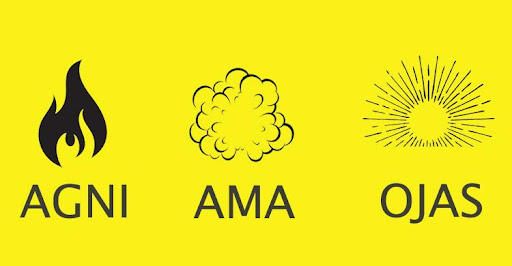 Here It’s All About Agni, Ama & Ojas