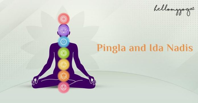 Pingla and Ida Nadis explained