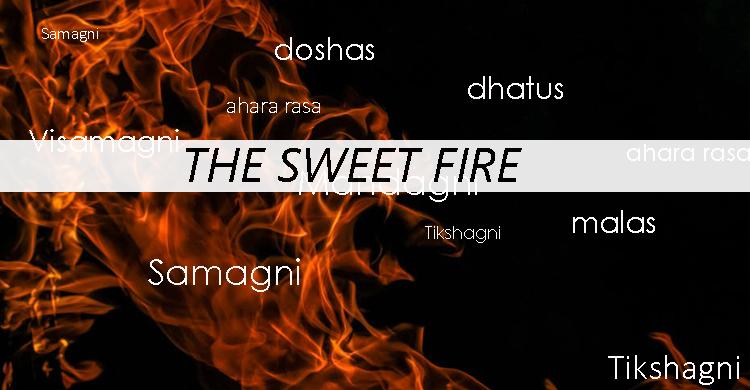 The Sweet, Gentle Fire: Yoga And Appetite