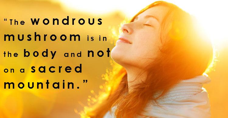 Yoga And The Root Of Life