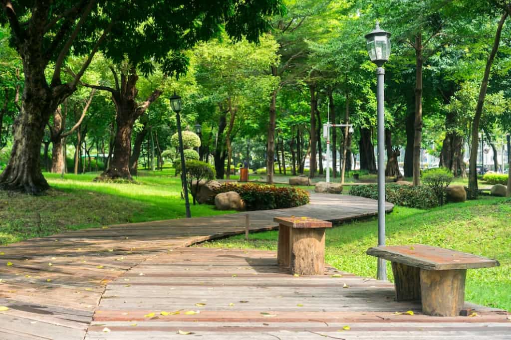 connect with nature to increase focus and concentration