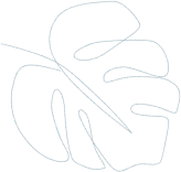 Leaf image