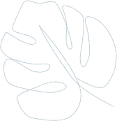 Product Leaf